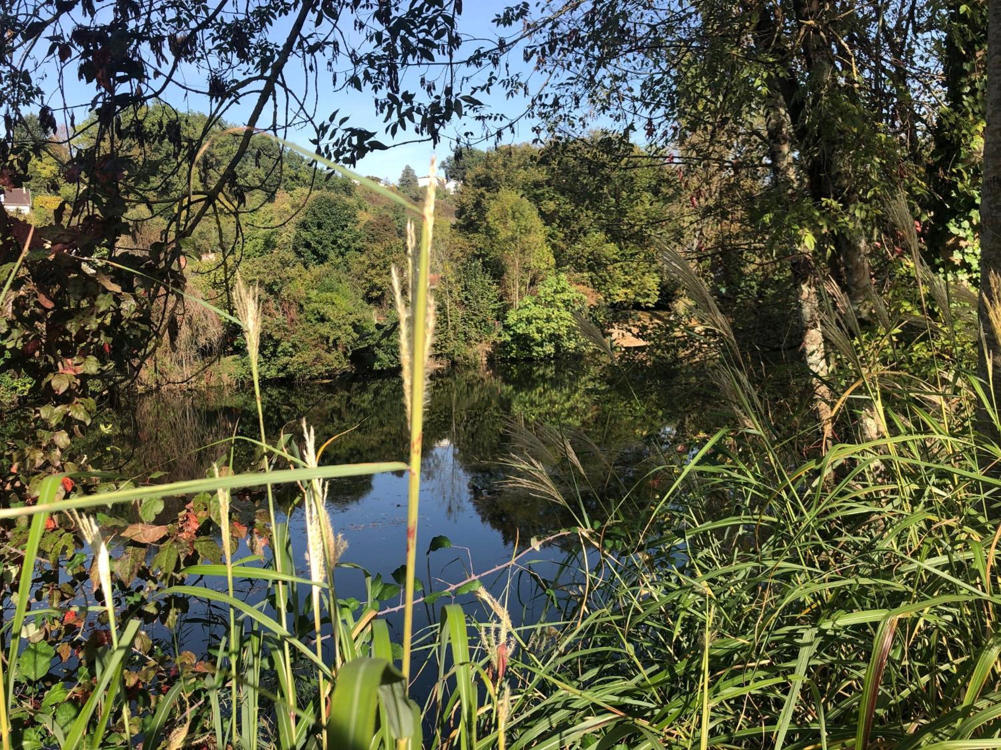 Bed and Breakfast Demeure De Charme Vue Riviere Perigueux Piscine Parking Экстерьер фото